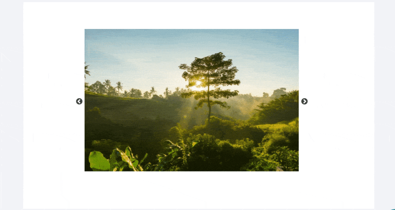 Slider In Web Design: How To Use It In Gutenberg? 5 slider in web design