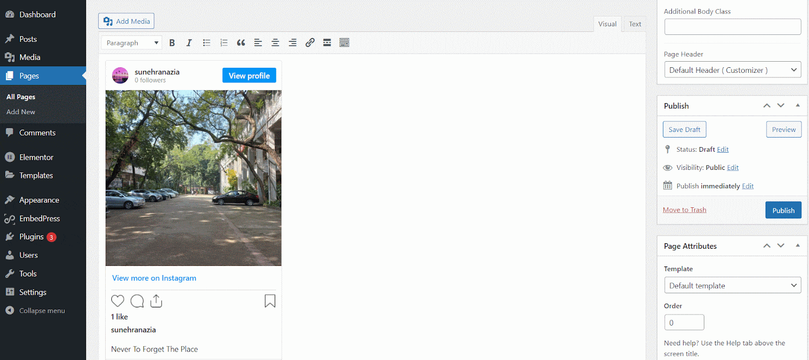 3 Easy Ways To Display Instagram Feed On WordPress Websites 9 DIsplay Instagram Feed