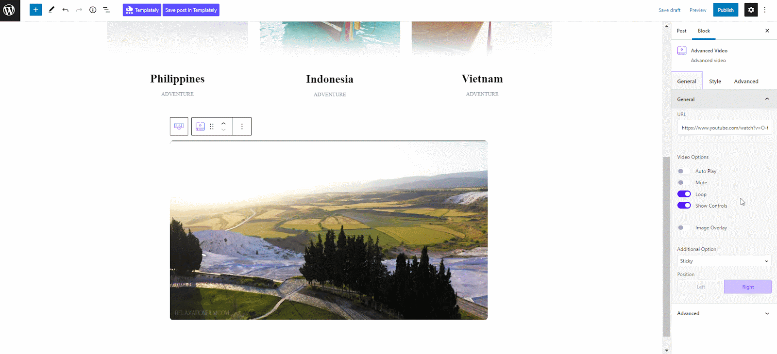How To Add Interactive Video In Gutenberg Without Any Coding? 8 Add Interactive Video In Gutenberg