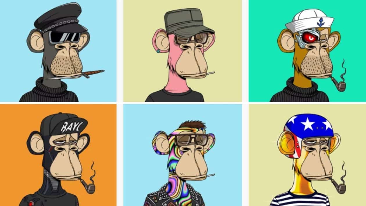 How To Create A WordPress NFT Gallery Website In Gutenberg? 4 NFT Gallery