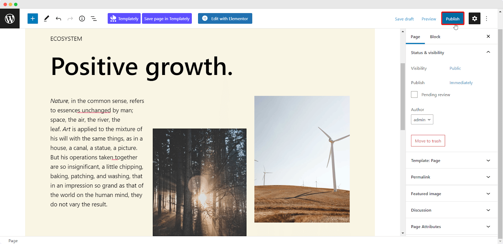 Web Page In Gutenberg