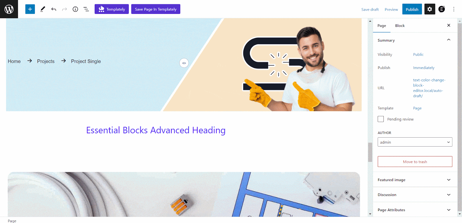 How To Change Text Color In WordPress