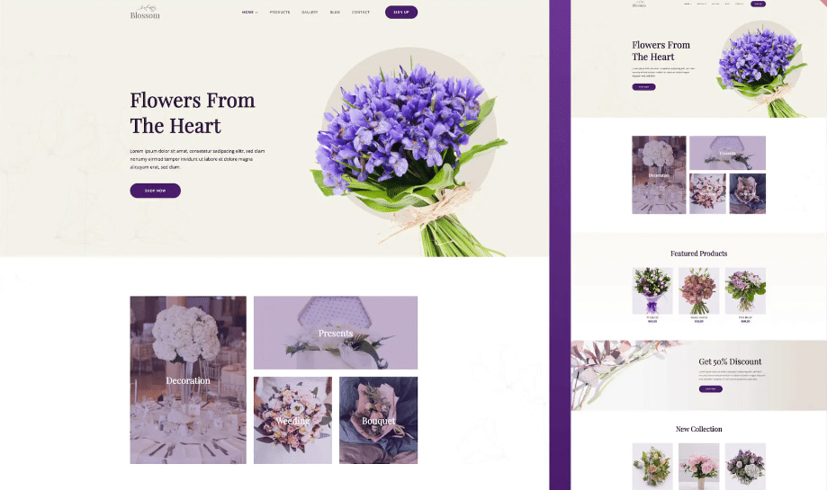 eCommerce Website Templates